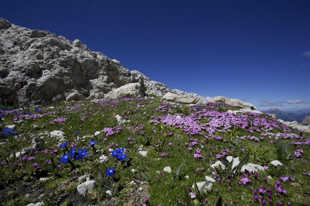Casa Serac' La Valle Εξωτερικό φωτογραφία